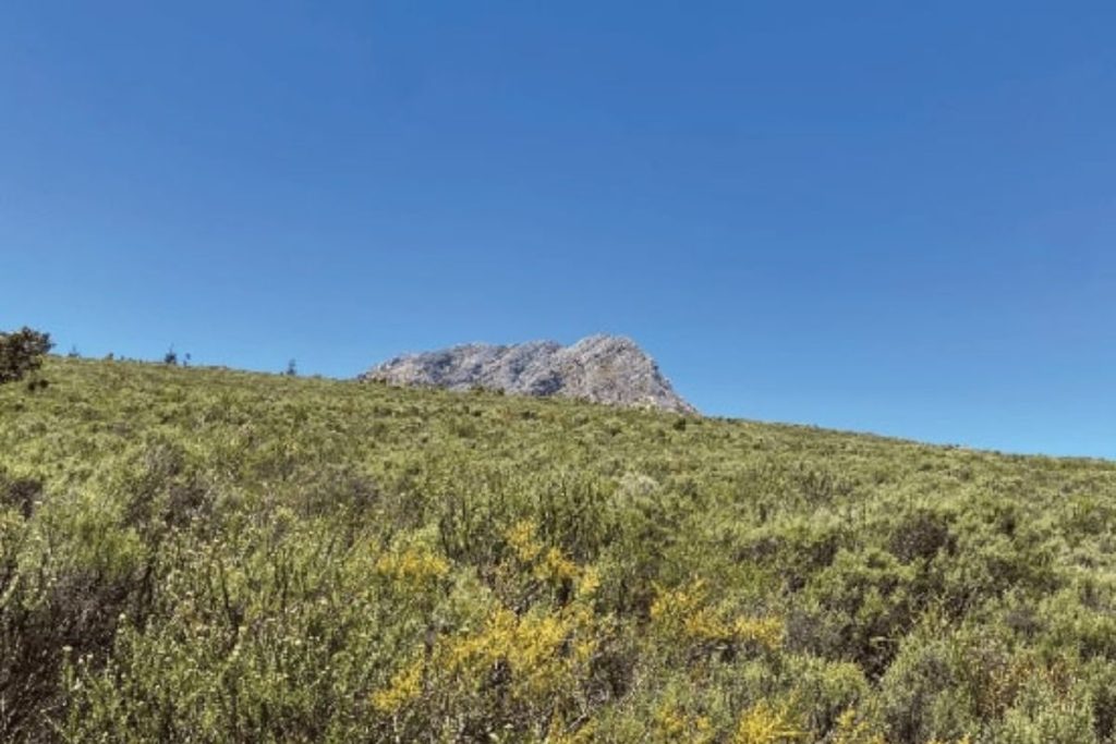 Eco Cabins- Eco Cabins Western Cape - boulder-in-field-min