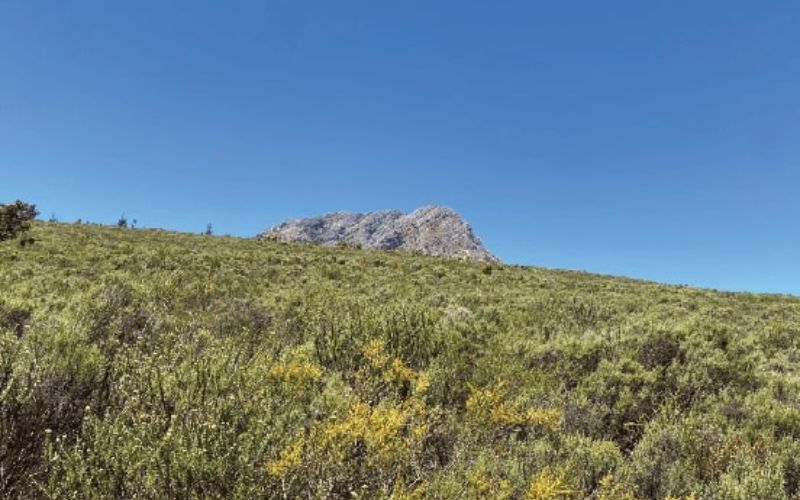 Eco Cabins- Eco Cabins - boulder-in-field-min