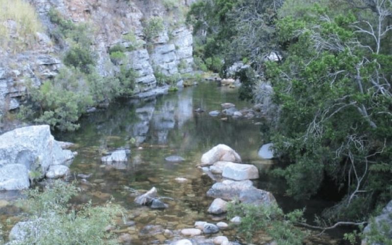 eco-cabins-eco-cabins-mountain-stream-min