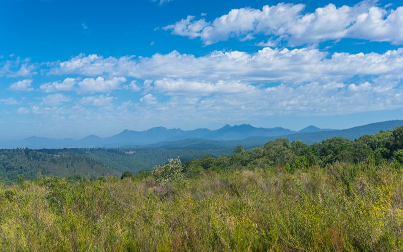 Eco cabins-beautiful-outback-landscape-of-south-african-bush-fynbos-with-mountains-26586715155-min