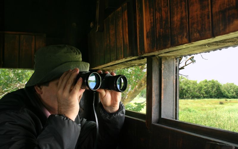 eco-cabins-western-cape-man-birdwatching--min