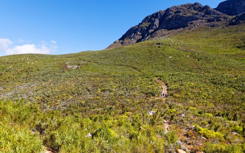 eco-cabins-hiking-trails-min