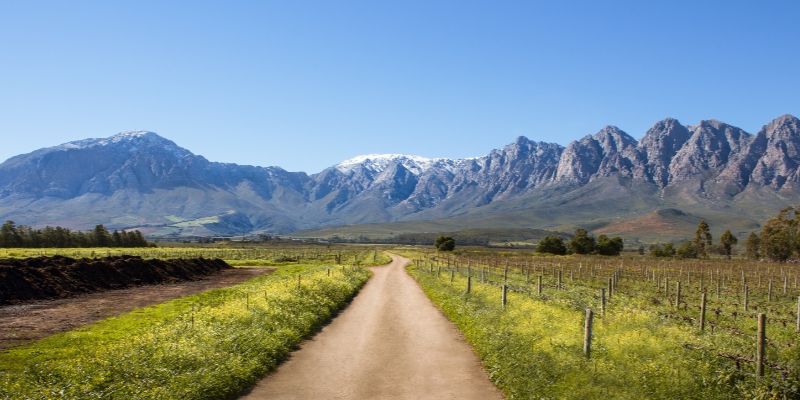 eco-cabins-wine-farm-min