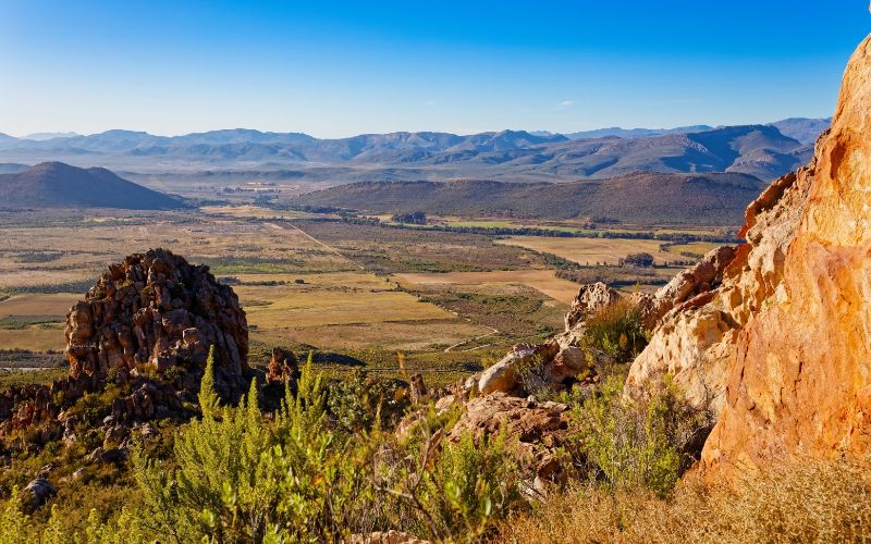 luxury-cabins-western-cape-surrounding-nature (1)-min