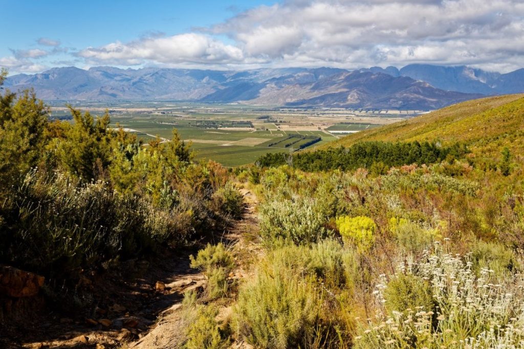 luxury-cabins-western-cape-breede-mountains-min