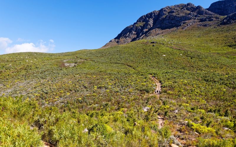 luxury-cabins-western-cape-hiking-min