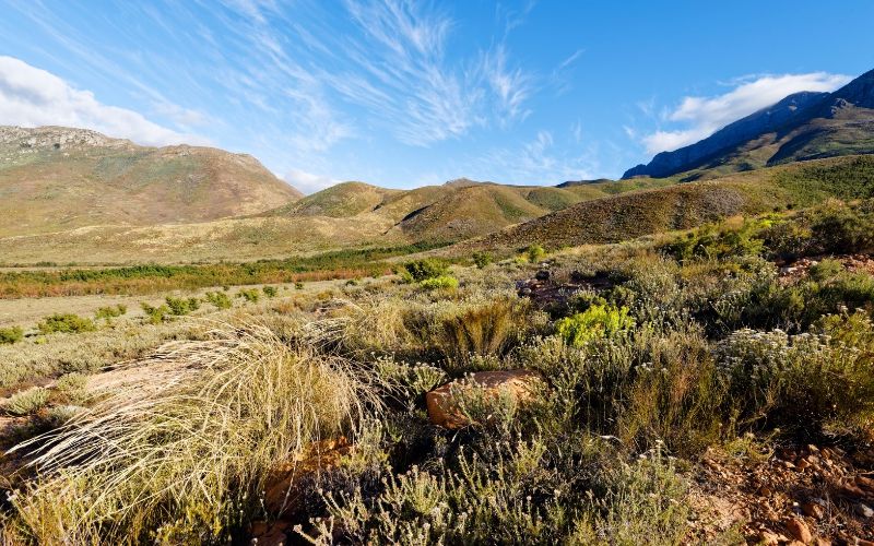 eco-cabins-breede-valley-min