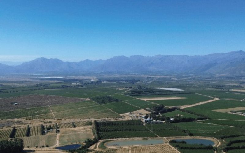 eco-cabins-cape-town-min