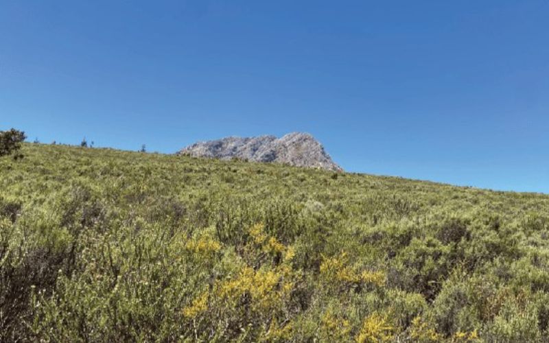 eco-cabins-flora-min