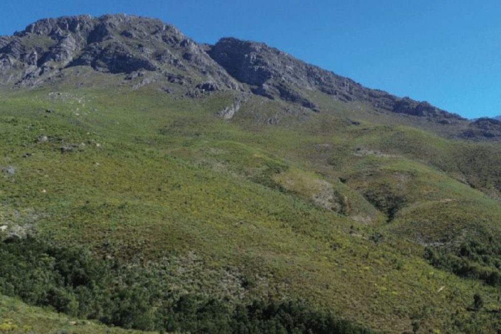 eco-cabins-mountains-min