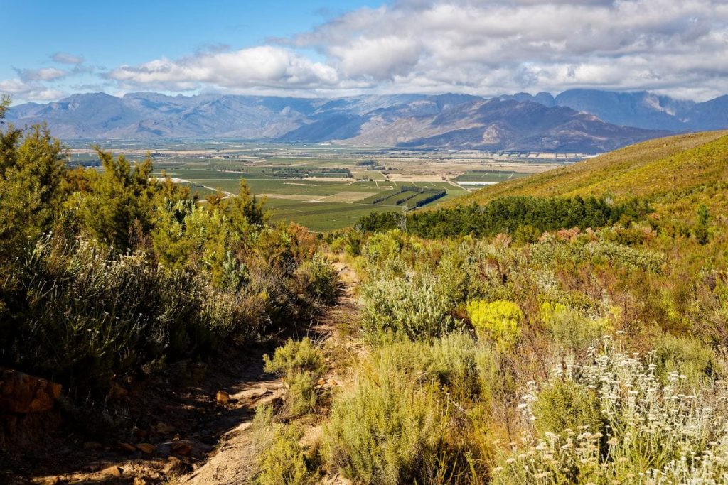 cabins-western-cape-beautiful-mountains-and-hills (1)