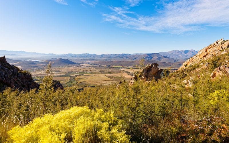 cabins-western-cape-view (1)