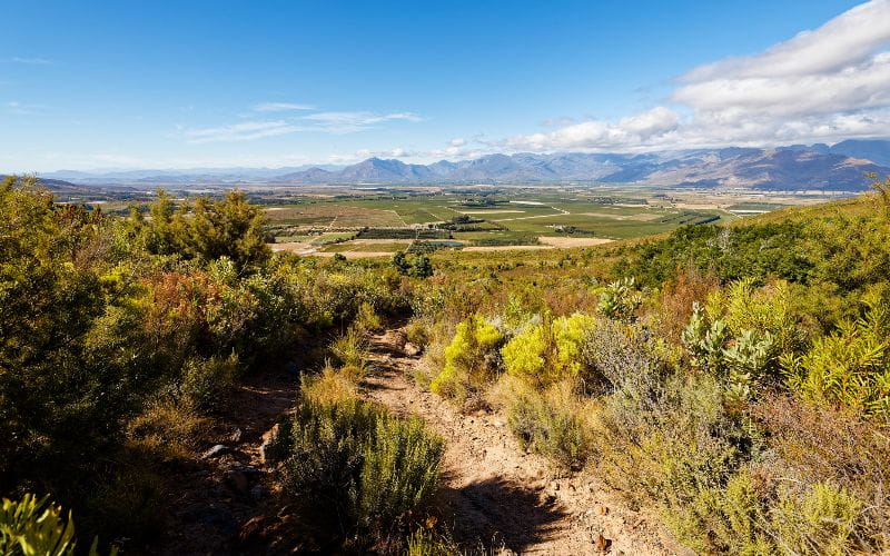 eco-cabins-beautiful-mountains-and-hills-near-worcester-breede-river-valley