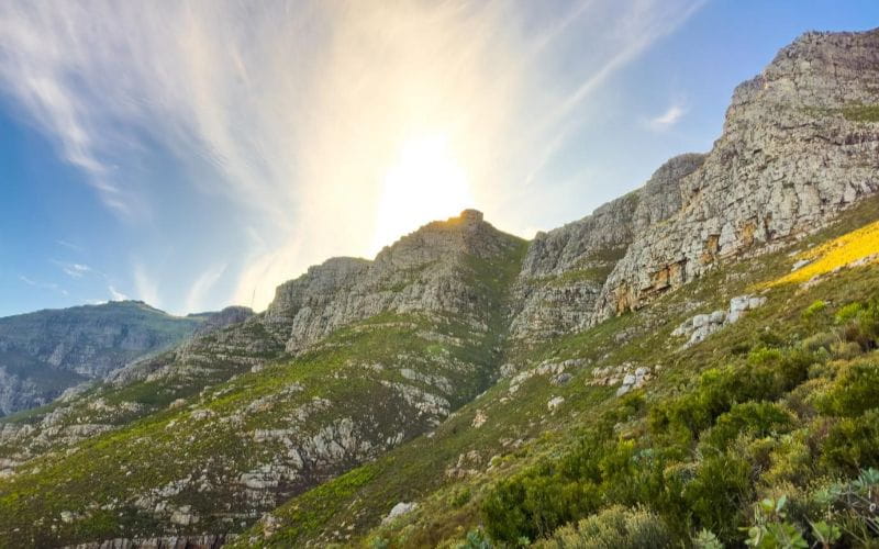 cabins-western-cape-mountain-side-sunshine