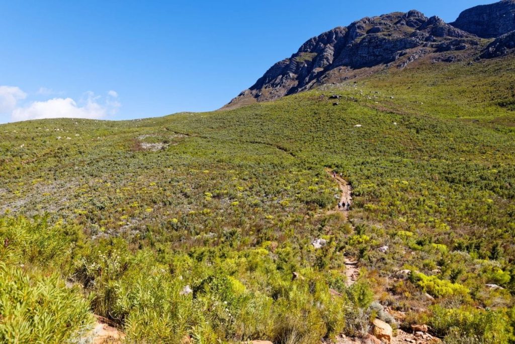 eco-cabins-breede-hiking (1)
