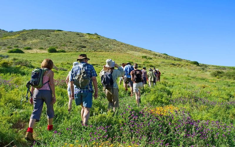 eco-cabins-hiking-group (1)